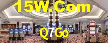 Premium Interface Q7Go